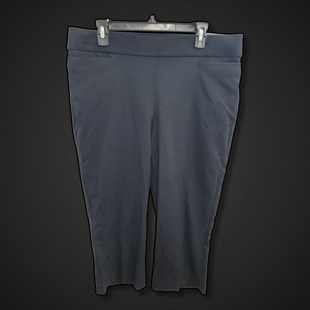 Briggs Comfort Waistband Slacks Womens Size 14